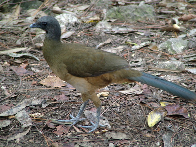 DSCF2173.JPG
