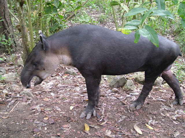 DSCF2174.JPG
