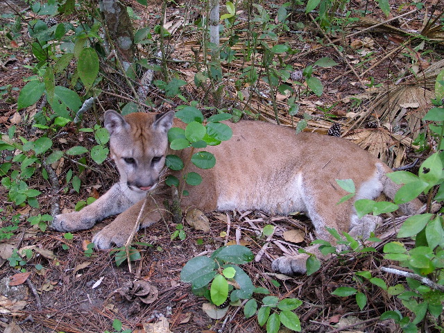DSCF2178.JPG