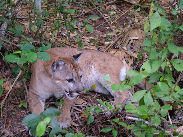 DSCF2179.JPG