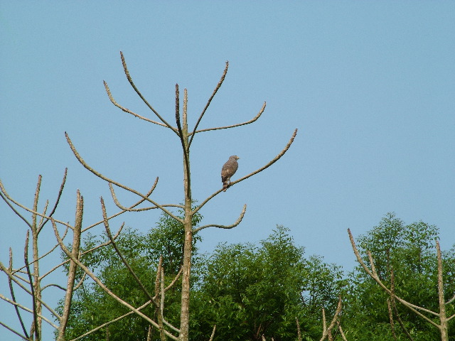 DSCF2000.JPG
