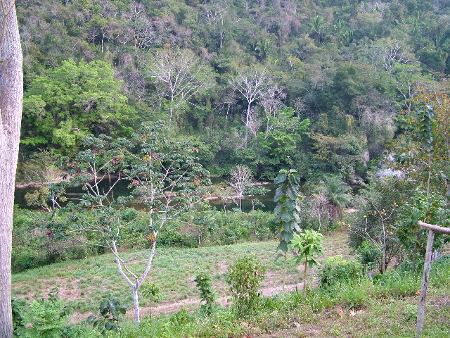 DSCF2193.JPG