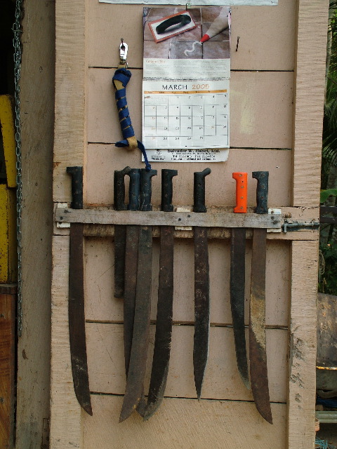DSCF2196.JPG
