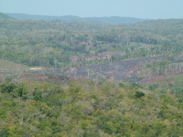 DSCF2221.JPG