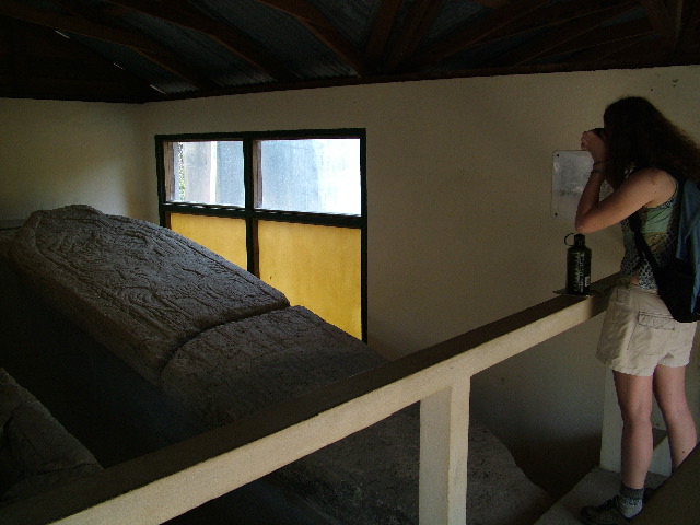 DSCF2234.JPG