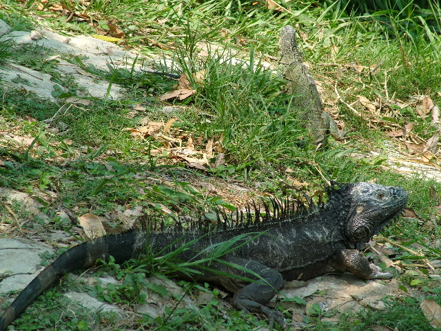 DSCF2238.JPG
