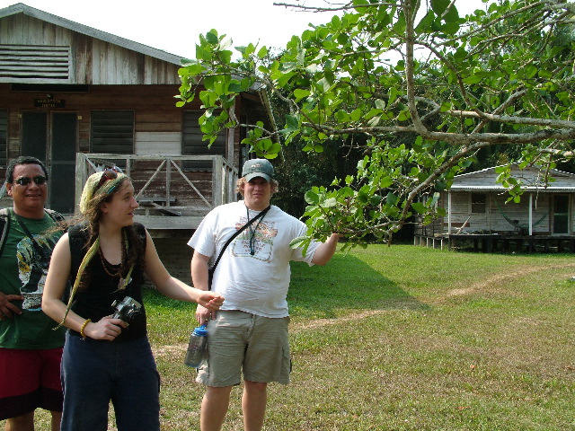 DSCF2005.JPG
