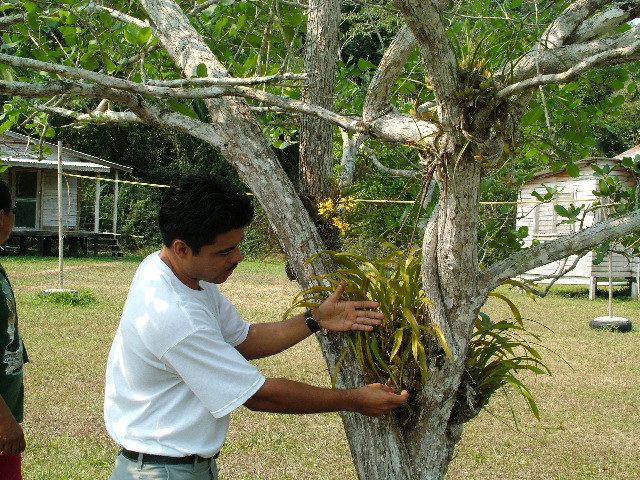DSCF2006.JPG