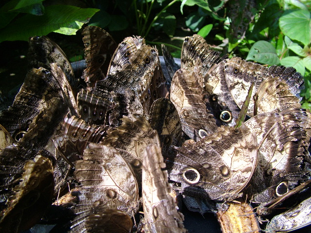 DSCF2269.JPG