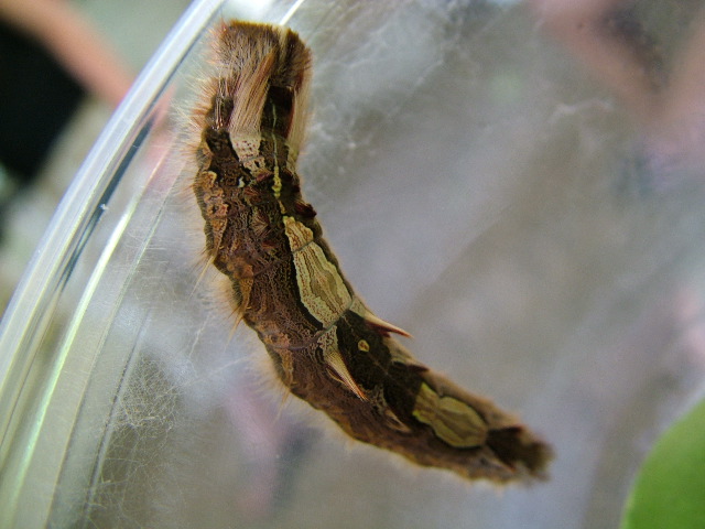 DSCF2283.JPG