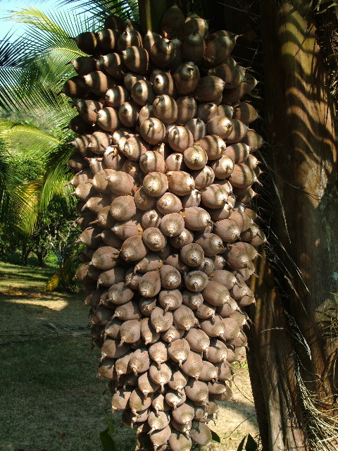 DSCF2290.JPG