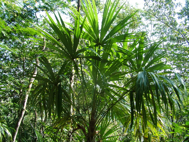 DSCF2291.JPG