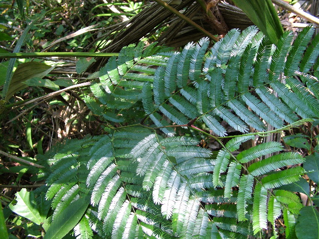 DSCF2292.JPG
