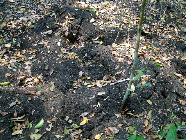 DSCF2010.JPG