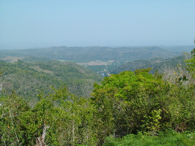 DSCF2298.JPG