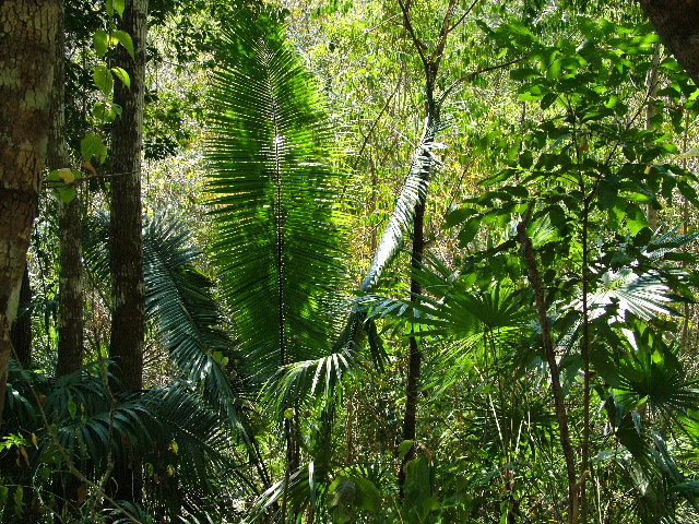 DSCF2300.JPG