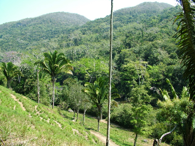 DSCF2302.JPG