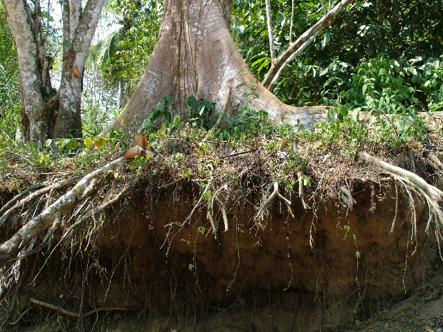 DSCF2303.JPG