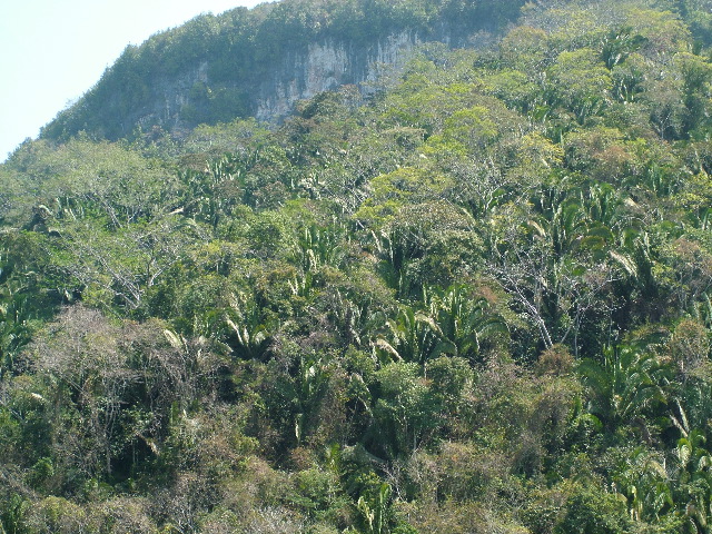 DSCF2306.JPG