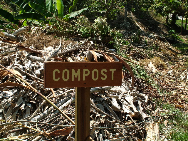 DSCF2307.JPG