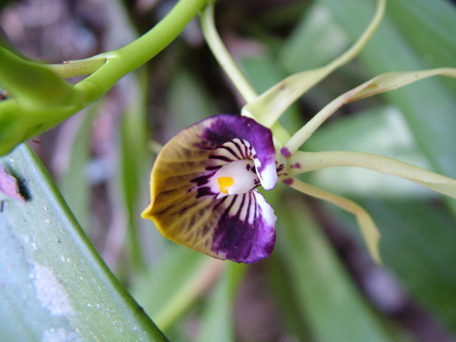 DSCF2314.JPG