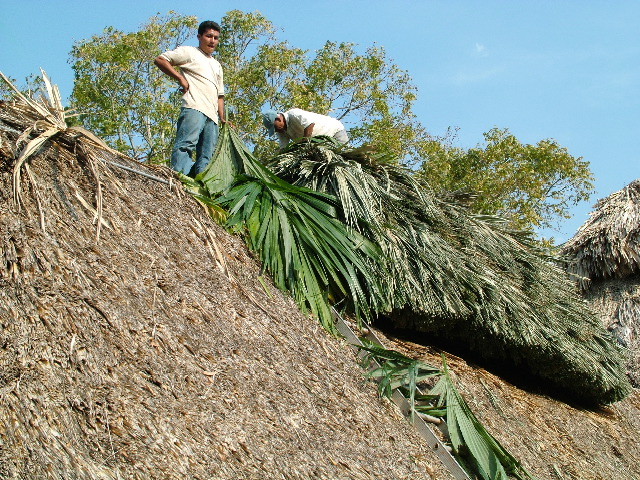DSCF2323.JPG