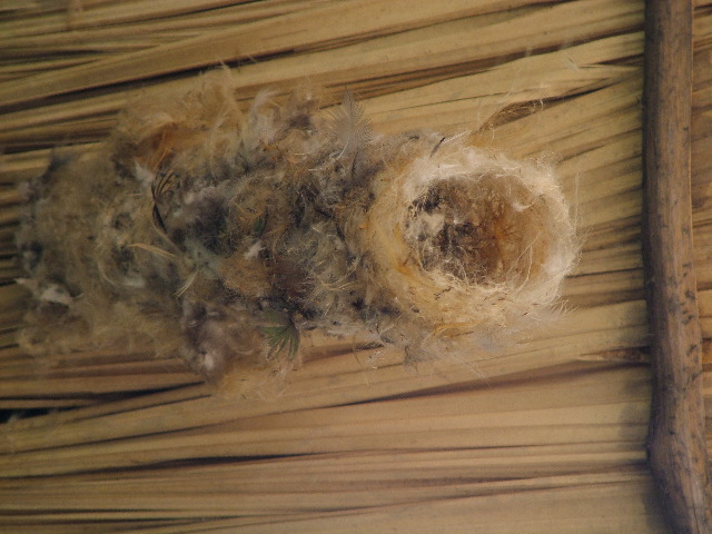 DSCF2326.JPG