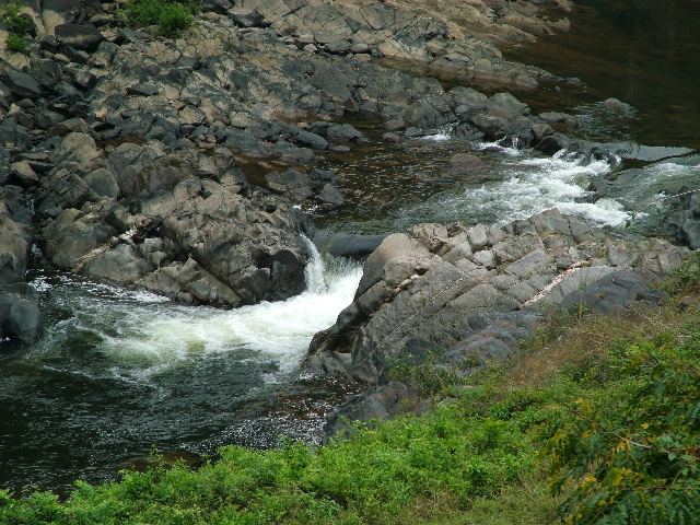 DSCF2331.JPG