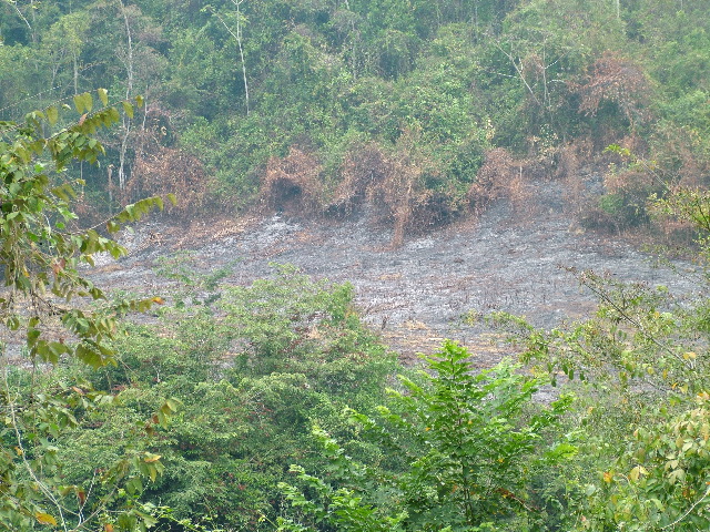 DSCF2334.JPG