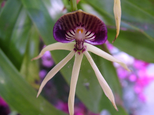 DSCF2335.JPG
