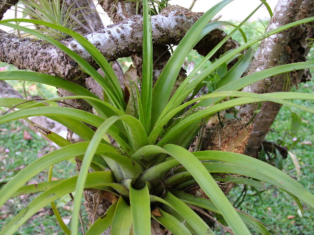 DSCF2337.JPG