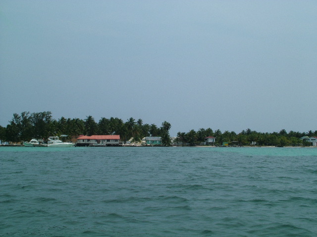 DSCF2342.JPG