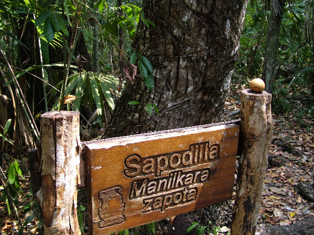 DSCF2015.JPG