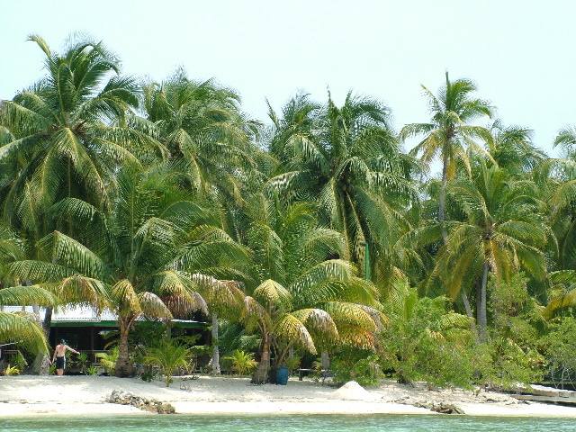 DSCF2344.JPG