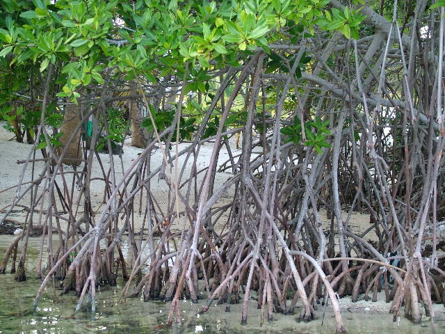 DSCF2347.JPG