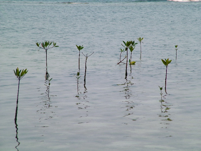 DSCF2348.JPG