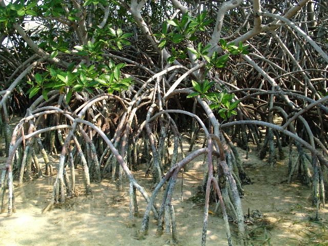 DSCF2351.JPG