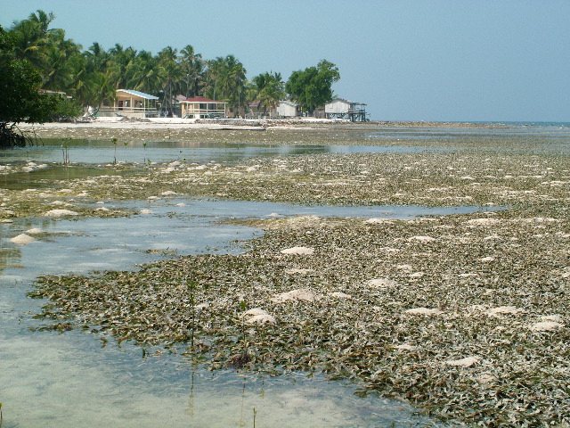 DSCF2352.JPG