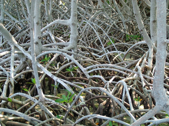 DSCF2353.JPG