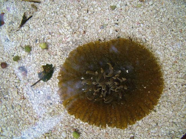 DSCF2370.JPG