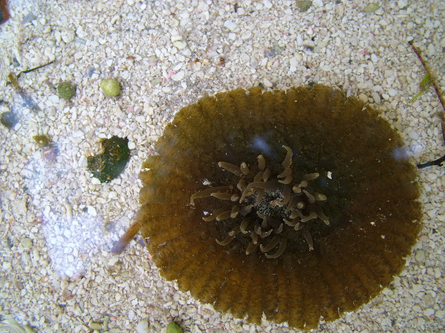 DSCF2371.JPG