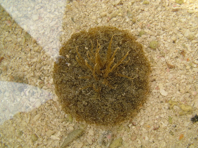 DSCF2373.JPG