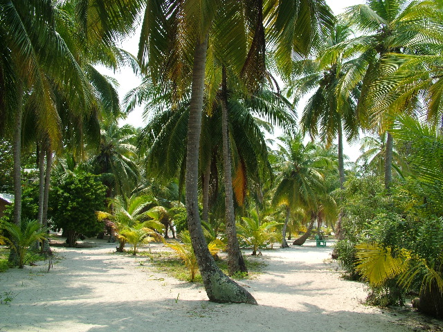 DSCF2382.JPG