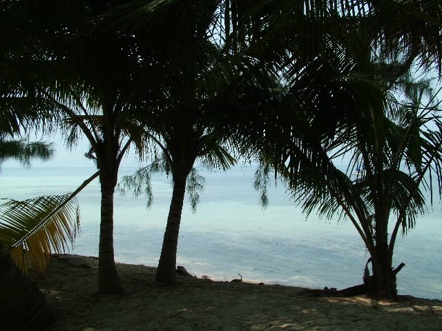 DSCF2383.JPG