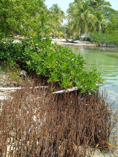 DSCF2388.JPG