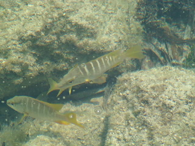 DSCF2389.JPG