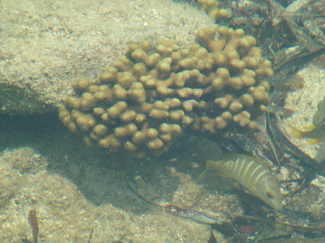 DSCF2392.JPG