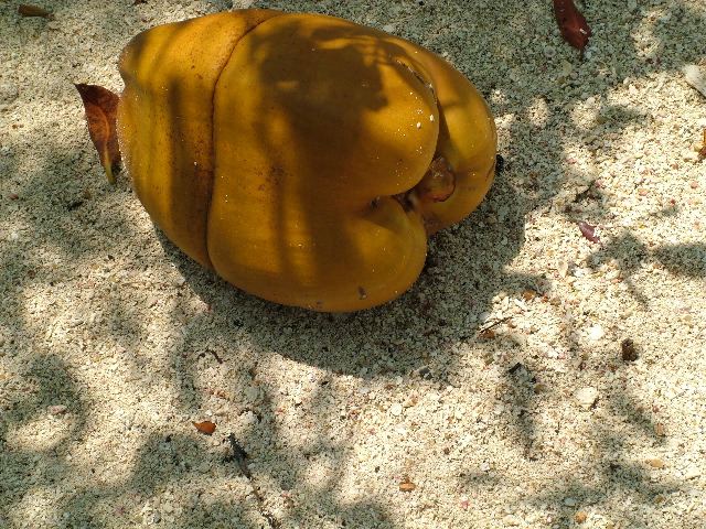 DSCF2399.JPG
