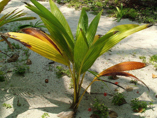 DSCF2402.JPG