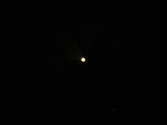 DSCF2411.JPG